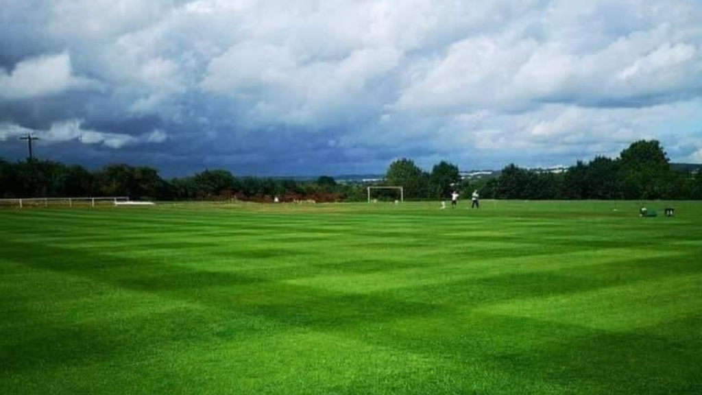 Pitch Old