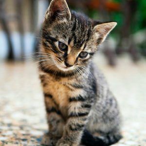 edgar-nKC772R_qog-unsplash edgar-nKC772R_qog-unsplash