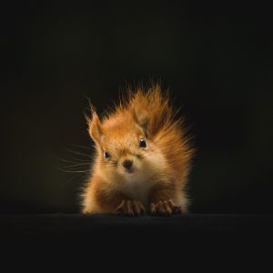 geran-de-klerk-bKhETeDV1WM-unsplash geran-de-klerk-bKhETeDV1WM-unsplash
