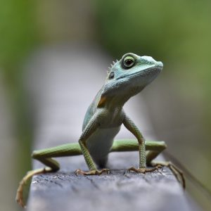 mark-stoop-JAUFHzqZPd0-unsplash mark-stoop-JAUFHzqZPd0-unsplash